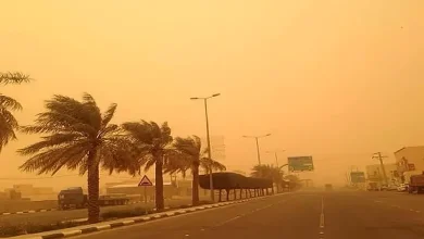 صورة رياحٌ نشطة وأتربة مُثارة على منطقة الباحة