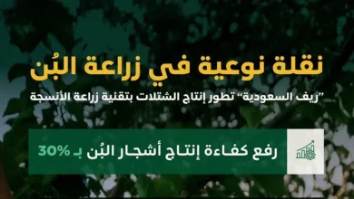 صورة لرفع كفاءة الإنتاج 30%.. إطلاق مشروع نوعي لتطوير زراعة أنسجة أشجار البُن