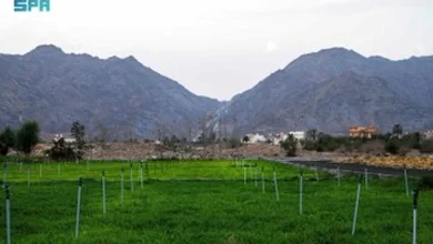 صورة السياحة الريفية بنجران.. تجربة مليئة بالحياة وتعكس الهوية البيئية والتاريخ للمكان