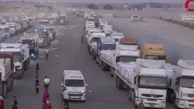 صورة وسط أزمة الجوع.. هدنة في قطاع غزة ودخول المساعدات الإنسانية والإغاثية