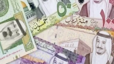 صورة سعر الريال مقابل الجنيه المصري والعملات العربية اليوم الإثنين 321447