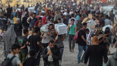 صورة مصدر أممي: مسؤولون إسرائيليون يدعون لبقاء الأمم المتحدة كمصدر رئيسي للمساعدات في غزة