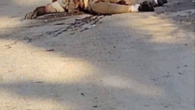 صورة الاحتلال يعدم فلسطينيا غرب جنين قبل أن تدهسه بآلية عسكرية غرب جنين