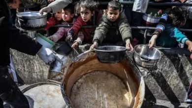 صورة الأمم المتحدة: 96% من سكان غزة يواجهون مستويات كارثية من انعدام الأمن الغذائي