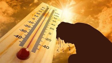 صورة كيف يؤثر التعرض لموجات الحر على الشيخوخة؟