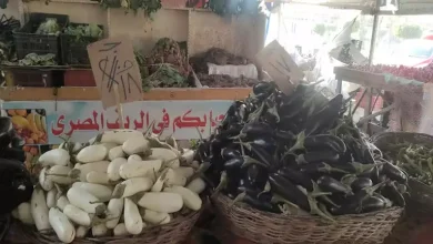 صورة أسعار الخضروات والفاكهة في سوق العبور اليوم 20-8-2025