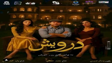 صورة إيرادات الأحد.. “درويش” الأول و”روكي الغلابة” يتفوق على “أحمد وأحمد”