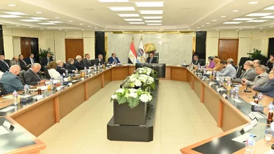 صورة “القابضة للأدوية” تستهدف زيادة الأرباح 343% خلال العام المالي الحالي إ