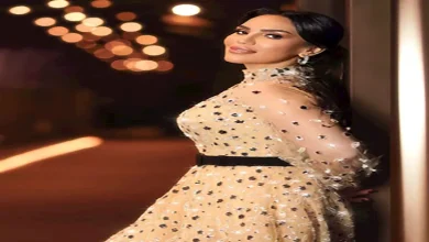 صورة تفاصيل حفل مي فاروق في مهرجان قرطاج الدولي