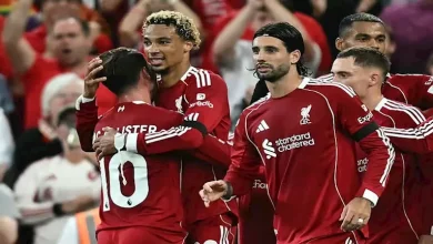 صورة موعد مباراة ليفربول ونيوكاسل يونايتد في الدوري الإنجليزي