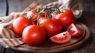 صورة فوائد الطماطم.. 5 أسباب تجعلها أساسية على مائدتك