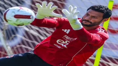 صورة الشناوي: حصلنا على دفعة معنوية من الفوز على الزمالك.. ومجموعتنا متوازن