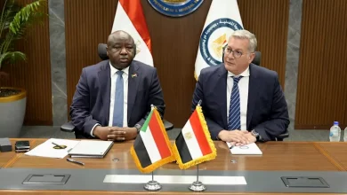 صورة تشكيل فرق عمل بين مصر والسودان لبحث الفرص في قطاع التعدين