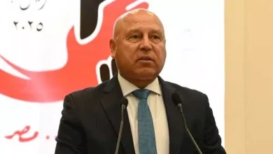 صورة عبر منصة مصر الرقمية.. الصناعة تطرح 1386 قطعة أرض صناعية في 23 محافظة