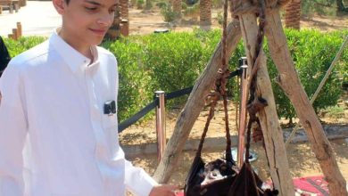 صورة أنا الإنسان  أخبار السعودية