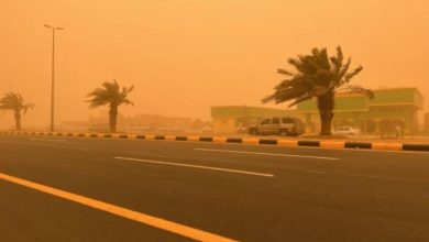 صورة موجة حارة وأمطار ورياح نشطة متفرقة على المنطقة الشرقية  أخبار السعودية