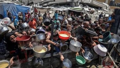 صورة بيان لـ 24 دولة أوروبية يدعو إلى وقف المجاعة بغزة  أخبار السعودية