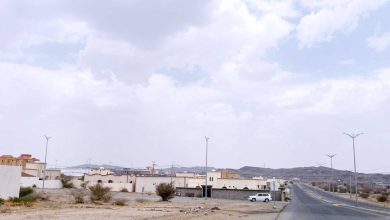 صورة «عبلاء بيشة».. برج صامت وخدمات غائبة  أخبار السعودية