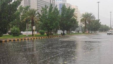 صورة «الأرصاد» ينبّه: أمطار متوسطة على منطقة الباحة  أخبار السعودية