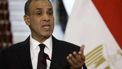 صورة مصر تدعو لتفعيل المرحلة الثانية من اتفاق وقف إطلاق النار في غزة