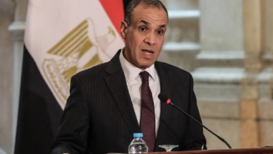 صورة وزير الخارجية المصري: اتصالات مكثفة لزيادة الاعتراف الدولي بفلسطين