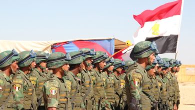 صورة وزير الدفاع المصري يطالب الجيش بأعلى مستويات الجاهزية القتالية