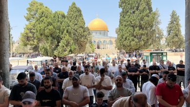 صورة 40 ألفا يؤدون الجمعة بالمسجد الأقصى