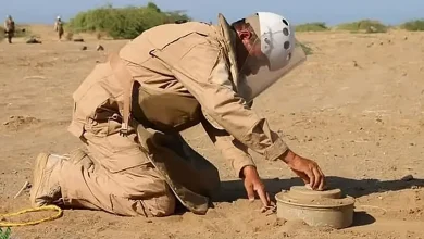 صورة مشروع مركز الملك سلمان للإغاثة «مسام» ينزع 884 لغمًا في الأراضي اليمنية خلال أسبوع
