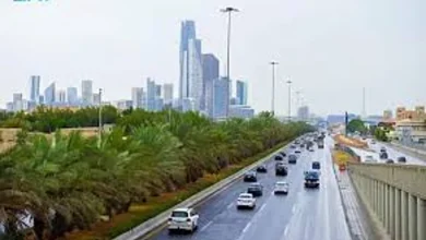 صورة طقس المملكة الإثنين.. أمطار رعدية مصحوبة برياح مثيرة للأتربة والغبار على عدة مناطق