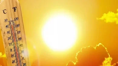 صورة المدينة المنورة الأعلى حرارة بـ46 مئوية.. وأبها الأدنى