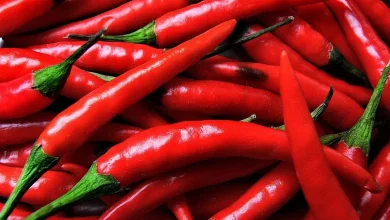 صورة دراسة توضح فوائد تناول الحوامل للفلفل الحار