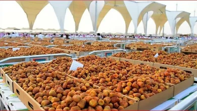 صورة طريق التمور الأول دوليا لفتح منافذ تسويقية على مستوى العالم
