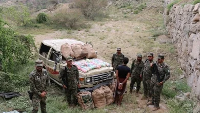 صورة «الأفواج الأمنية» بجازان تحبط تهريب 21,152قرصًا خاضعًا لتنظيم التداول الطبي و28 كلجم حشيش