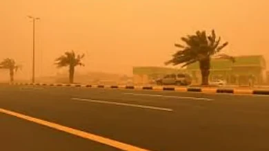صورة عوالق ترابية على شرورة وأمطار غزيرة على الباحة