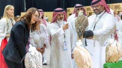 صورة حضور لافت للسياح والعائلات الأجنبية في المزاد الدولي لمزارع إنتاج الصقور 2025