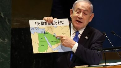 صورة وزير الخارجية المصري يحذر بعد تصريحات “إسرائيل الكبرى”