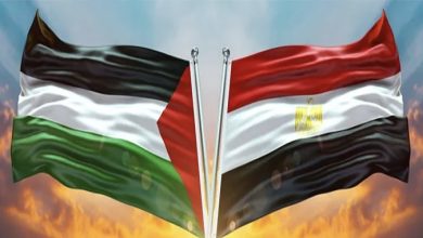 صورة مصر تؤكد: الفلسطينيون وحدهم سيحكمون غزة بعد الحرب
