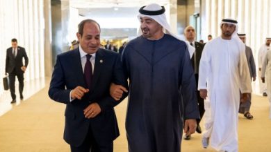 صورة السيسي وابن زايد يبحثان وضع غزة ويرحبان بالمبادرة التي طرحها ترامب “لوقف الحرب