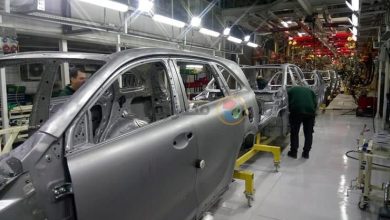 صورة سيارة SUV تبدأ كيا الكورية تصنيعها في مصر مطلع 2026.. ما هي؟