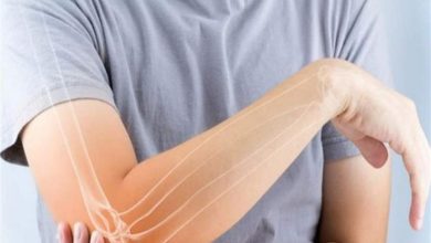صورة كيف تؤثر الألياف البلاستيكية الدقيقة على العظام؟