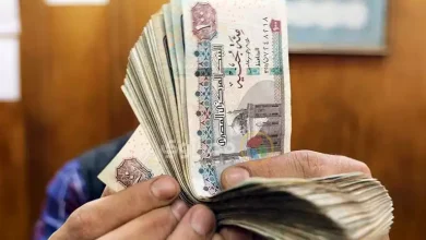صورة أسعار الفائدة تنخفض 5.25% منذ بداية العام.. كيف يتأثر قطاع التأمين؟
