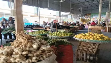 صورة أسعار الخضروات والفاكهة في سوق العبور اليوم الأحد 2-11-2025