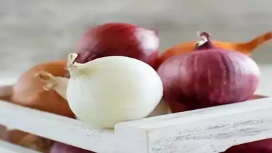 صورة 4 فوائد مذهلة للبصل على صحة الجسم لن تتوقعيها