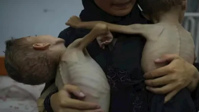 صورة فنانون يتعهدون بمقاطعة مؤسسات إسرائيل السينمائية بسبب الأزمة الإنسان