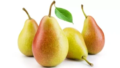 صورة الكمثرى.. 4 فوائد صحية تجعلها خياراً غذائياً ذكياً