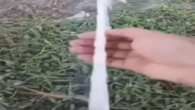 صورة مفاجأة غريبة.. مياه بيضاء كاللبن تتدفق في منازل مدينة عربية (فيديو)