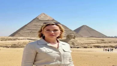 صورة بعد تصدرها التريند.. حقيقة زيارة كيت وينسلت للأهرامات والقلعة