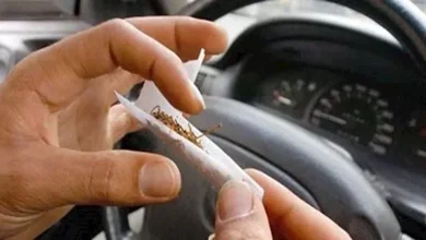 صورة سائق نقل: ما حكم شرب المخدرات للتغلب على تعب السواقة؟.. والإفتاء ترد