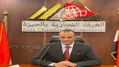 صورة مسؤول: قريبا منع تداول الدواجن الحية في الجيزة وبيعها مبردة ومجمدة