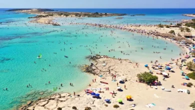 صورة أغرب وأجمل الشواطئ في العالم.. رمال وردية وطحالب مضيئة